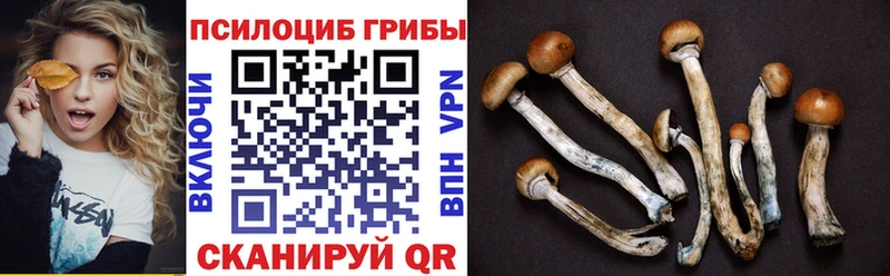 Псилоцибиновые грибы мухоморы  Купить где  Ессентукская 